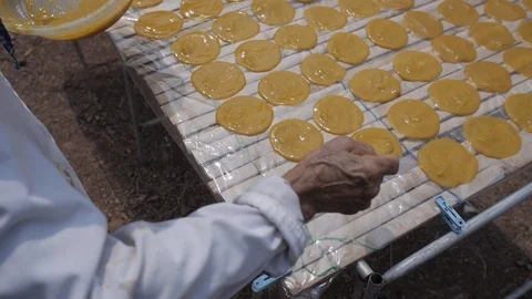 Round Mango Paste Drying on the Sun to make Dried Mango Paste Roll Stock Footage 122430945