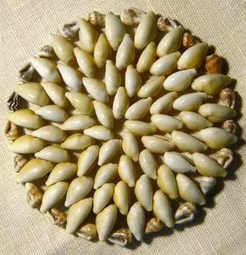 Round mat made of shells on the cloth from the top close up Stock-Fotos