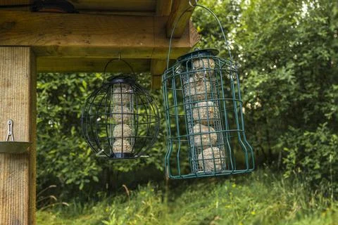 Round metal squirrel proof fat ball bird feeder on wooden feeding station Stock Photos