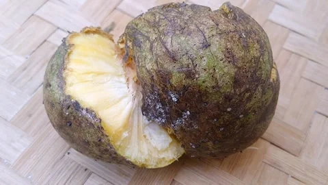 Round Mountain Soursop Fruit Sliced in Half Showing Fresh Yellow Pulp Stock Footage 340125553