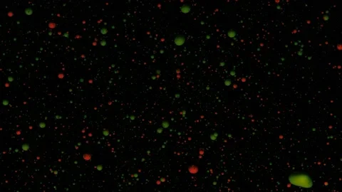 Round multicolored balls on a black background with silver sequins. Red and Stock Footage 171450574