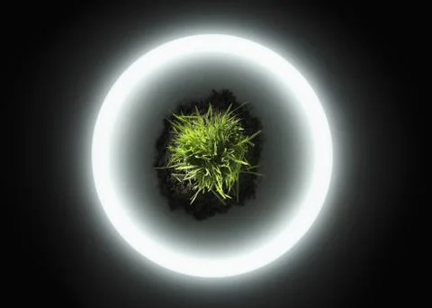 Round neon light surrounding a patch of grass in soil Stock Photos
