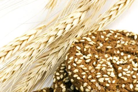 Round oat cookie Stock Photos