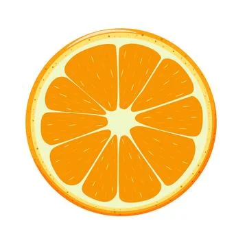 Round orange fruit in section on white background. Vector graphic design Stock Illustration