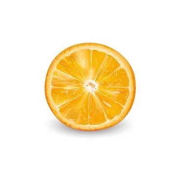 Round orange slice on a white background. Illustrazione stock