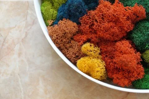 A round panel made of stabilized moss of various shades for ecological decora Stock Photos