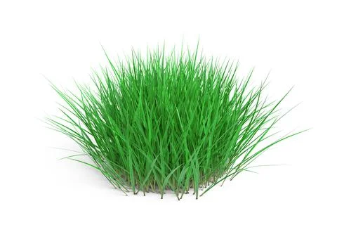 Round Patch of Fresh Green Grass. 3d Rendering Stock Illustration