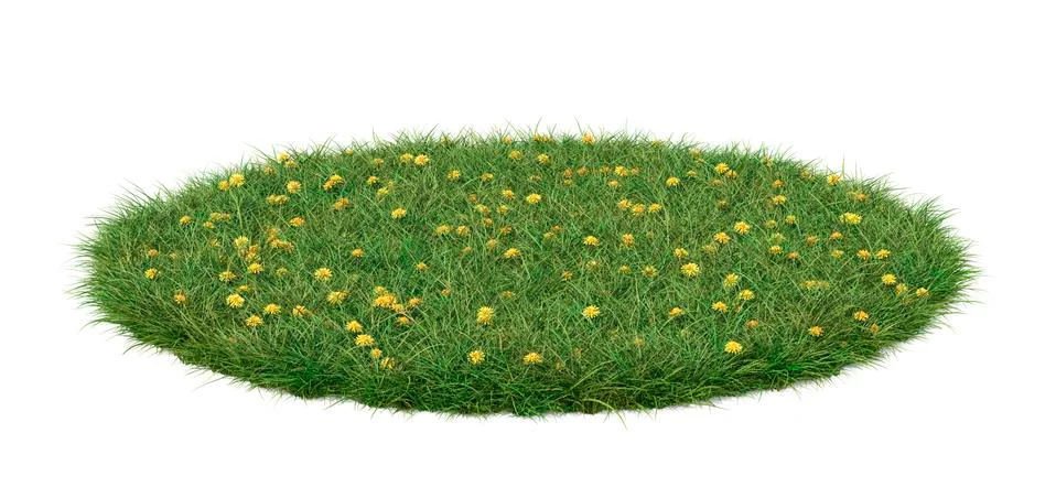 A round patch of grass full of dandelions, isolated on white background イラスト素材