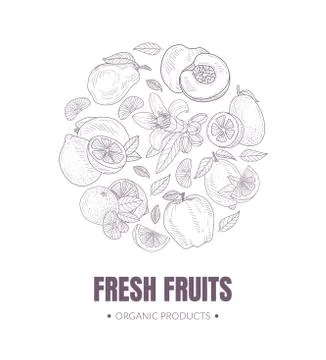 Round pattern of contours of fruits. Vector illustration. Stock Illustration