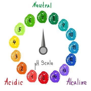 Round pH scale for measuring acid alkaline balance. Chemical value test. Doodle Stock Illustration