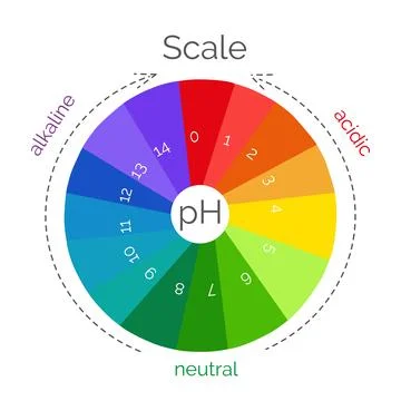 Round pH scale for measuring acid alkaline balance. Chemical value test Stock Illustration