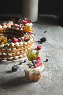 Round pie with berries on a gray background Stock Photos