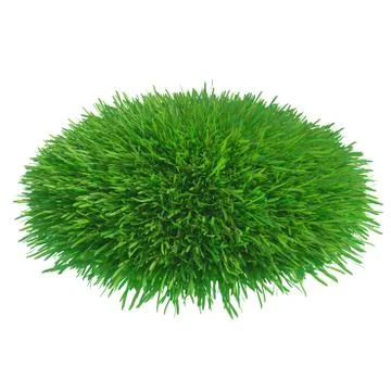 Round piece of cropped grass to be installed Stock-Illustration