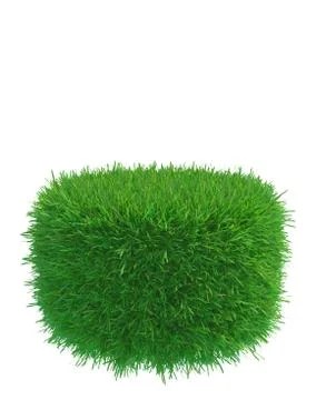 Round piece of cropped grass to be installed Illustrazione stock