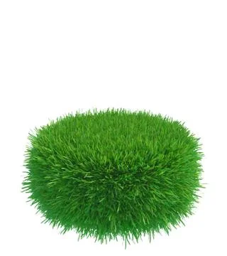 Round piece of cropped grass to be installed Stock Illustration