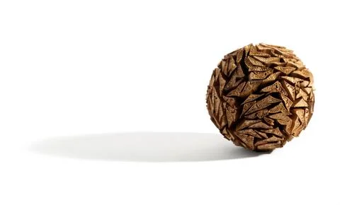 Round pine cone cork object Stock Photos