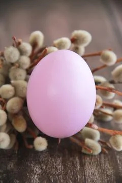 Round pink Easter egg and willow branches on  wooden background Stock Photos