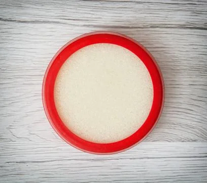 Round plastic sponge case for dipping fingers Stock Photos