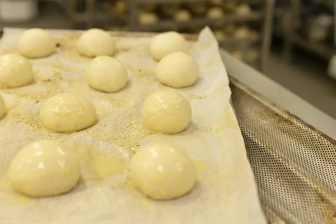 Round proofed bread dough balls on tray inside commercial bakery kitchen space Stockfoto's