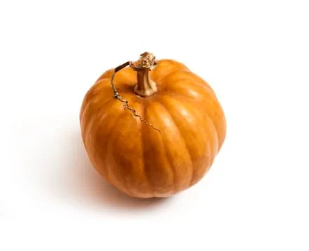 Round pumpkin isolated on white background Stock Photos