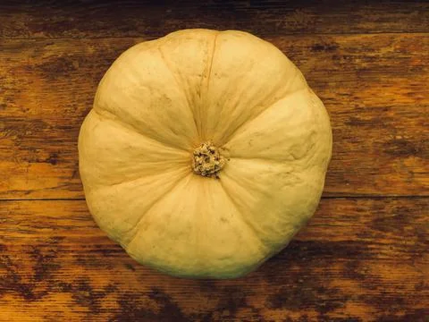 Round pumpkin Stock Photos
