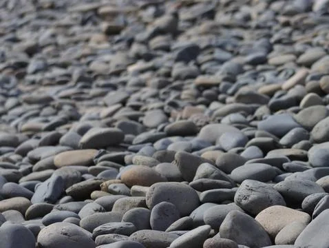 Round Rocks near the beach Stock Photos