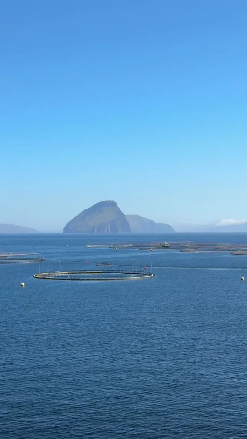 Round salmon cages dot a calm Faroese fjord as the conical island of Koltur rise Stock Footage 310948068