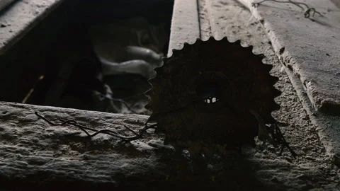 The round sang. Circle with teeth from a circular saw. Stock Footage 151237909