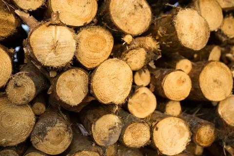 Round sections of logs in a stack with firewood close-up - wooden rural backg Stock-Fotos