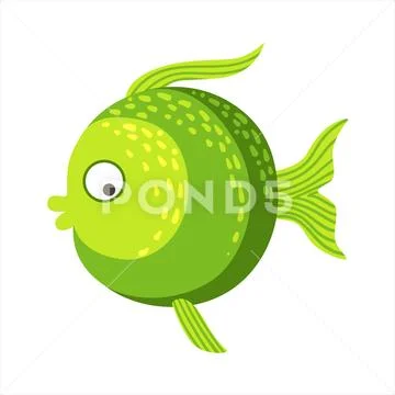 Round With Shades Of Green Fantastic Colorful Aquarium Fish, Tropical Reef Stock Illustration