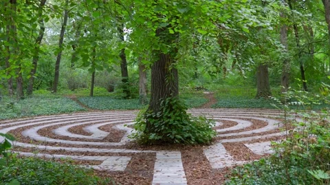 Round shape architecture with stones within forest, arboretum Stock-Footage 208859384
