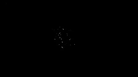 Round shape confetti fly after being exploded. 4K 30fps. Slow Motion. Stock Footage 55534216