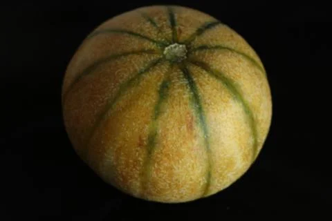 Round shape melon with black background Stock Photos