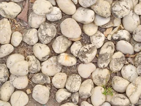 Round Shape Stone and Rock in the Garden in Thailand local Village. Stock Photos