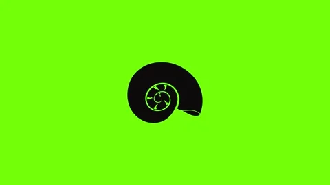 Round shell icon animation Stock Footage 157503775