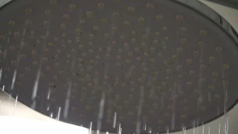 Round shower head with running water, bathroom fixture spraying droplets, Stock Footage 344431808