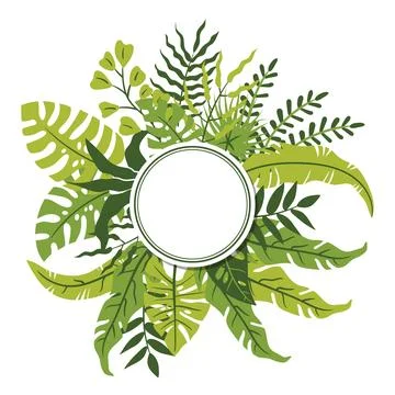 A round single frame made of lush tropical palm and Monstera leaves in flat c Stock Illustration