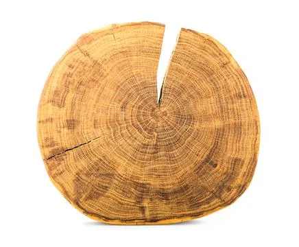 Round slice of log Stock Photos