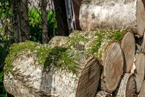 Round small logs. Stock Photos