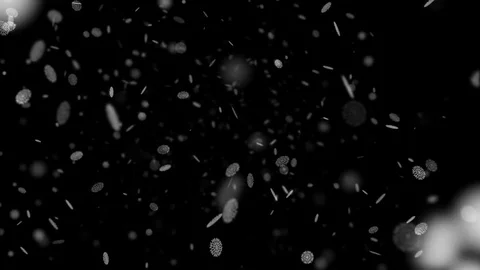Round Snowflakes Fall Down Vídeo Stock 83791957