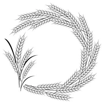 Round Spikelet frame with space for text isolated on white background. Vect.. Stock-Illustration