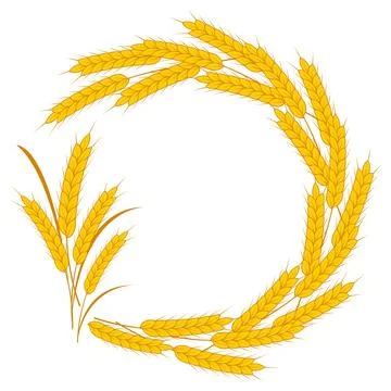 Round Spikelet frame with space for text isolated on white background. Vect.. Stock Illustration