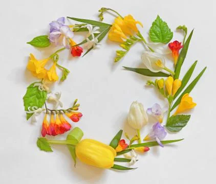 Round Spring Flower Frame Stock Photos