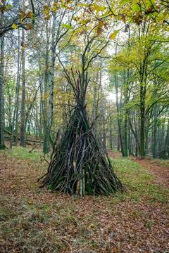 Round stack of branches in the woods Foto stock