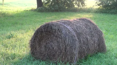 Round stack of straw Stock Footage 64985255