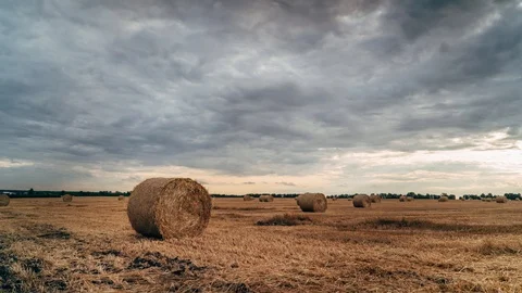 Round Stacks of straw on mowed field, timelapse 스톡 동영상 112122901