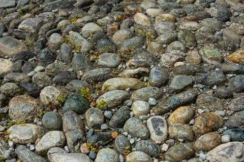 Round stone floor background, background with stones on the floor. Stock Photos