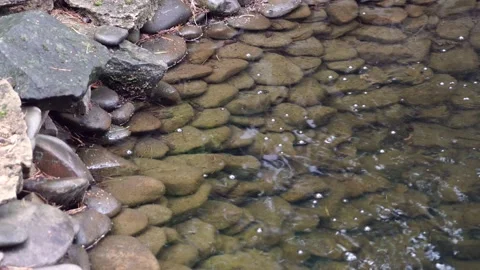Round stones at the bottom of a brook Stock Footage 132555569