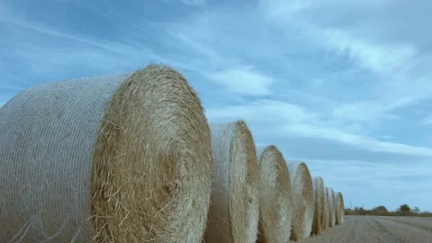 Round Straw Bales Haystack rolls on Farmland With Blue Sky Stock Footage 141765634