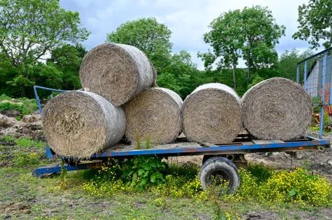Round Straw Bales Stock Photos